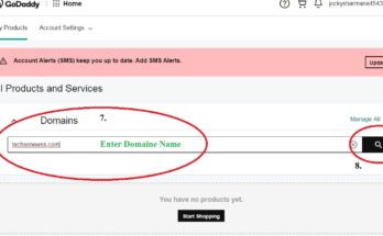 Buy Domaine Godaddy