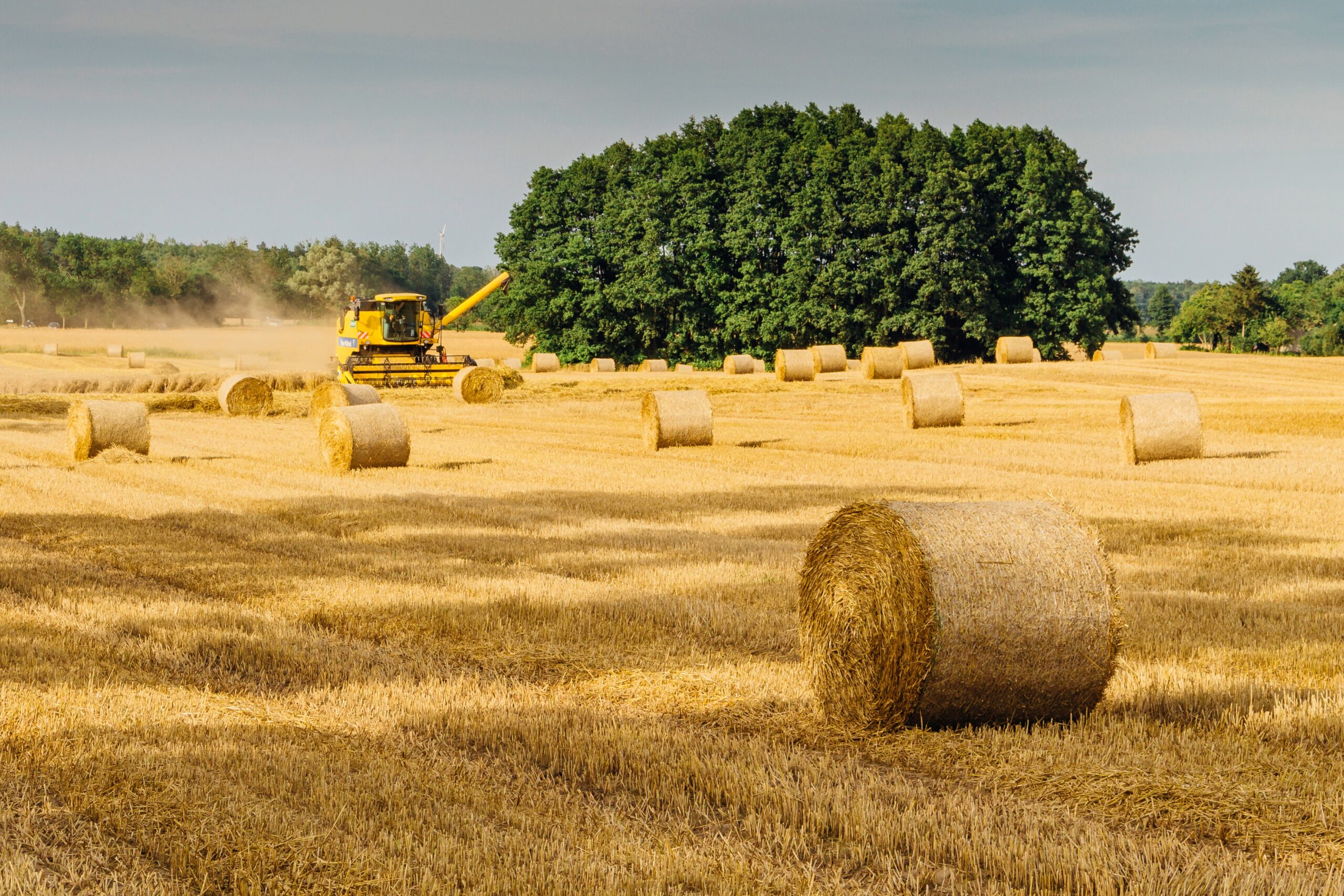 agriculture